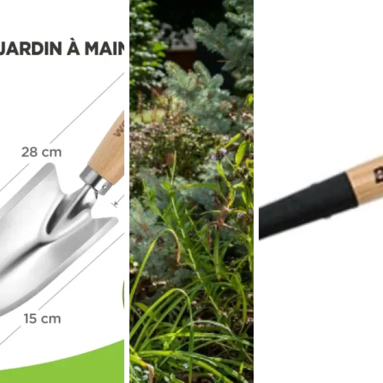 Classement des 3 meilleurs pelles jardin premium (août 2026)