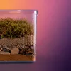 Terrarium en PVC : une solution élégante pour un jardin d’intérieur maîtrisé