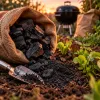 Bien choisir ses sacs de charbon de bois pour un jardin plus fertile et des barbecues maîtrisés