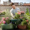 Caisse pomme en bois : l’alliée élégante pour récolter et conserver vos fruits du jardin
