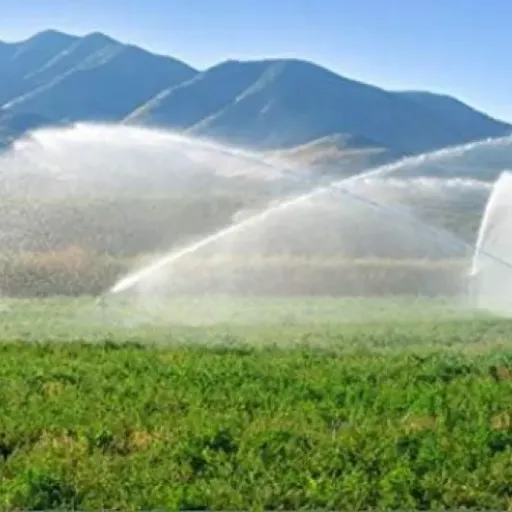Avis ARROSEUR D'IRRIGATION AGRICOLE Twink 1 1/2" : un gros arroseur métal pour couvrir large au champ