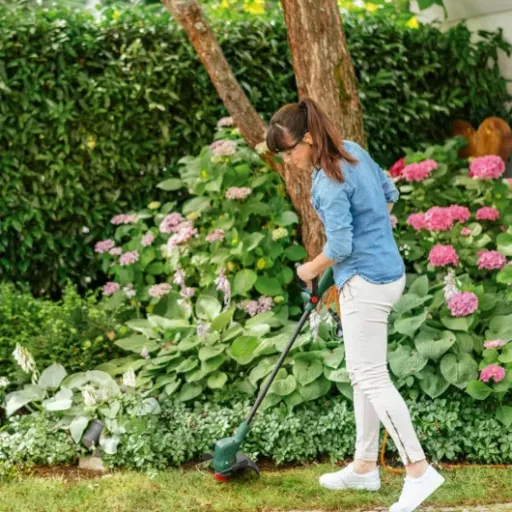 Avis Bosch EasyGrassCut 23 : le coupe-bordures filaire léger pour petits jardins