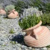 Après l'été le plus chaud depuis 1900, ce qui protège vraiment un jardin des canicules