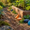 Subito anti fourmi : stratégies efficaces pour protéger durablement votre jardin