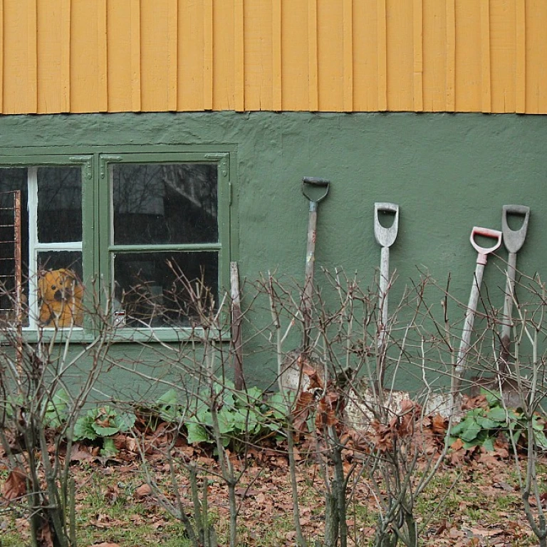 L'art de la serre en fer forgé pour un jardin élégant