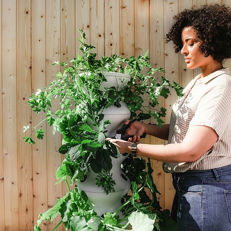 Intégrer des rochers dans votre jardin : une touche naturelle et esthétique
