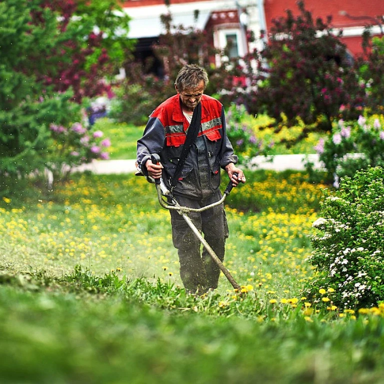 Comment concevoir un carré potager efficace