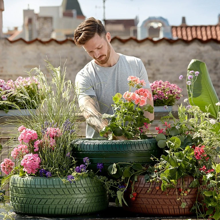 Les secrets du jardinage avec les légumes séchés
