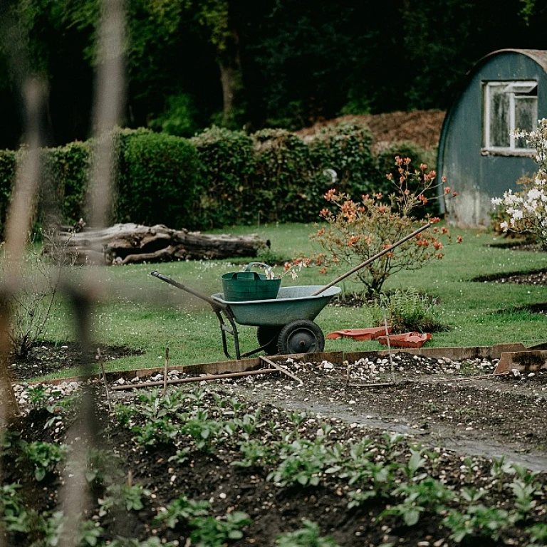 Optimisez votre jardin avec une ruche à faible consommation