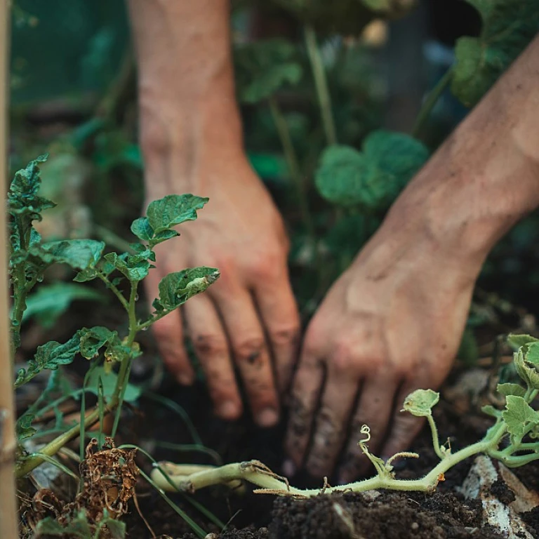 L'art d'utiliser les traverses en bois dans votre jardin