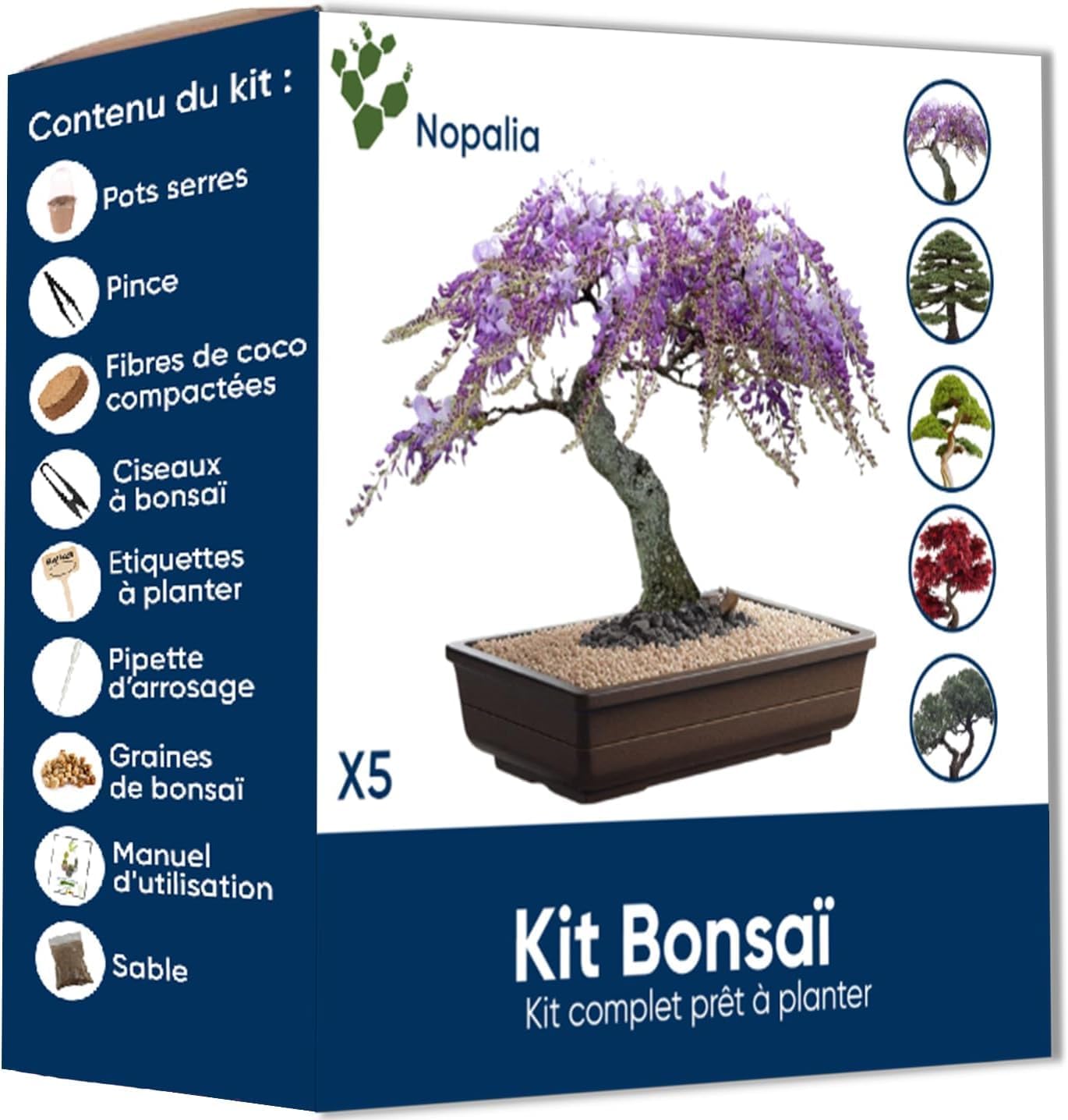 Kit Bonsaï - Mini Kit Prêt à Pousser - Idée Cadeau Originale Pour Homme Femme Enfants - Kit Plantes Intérieur Avec Graines De Bonsaï - Kit Jardinage - Jardin Intérieur - Décoration Intérieur