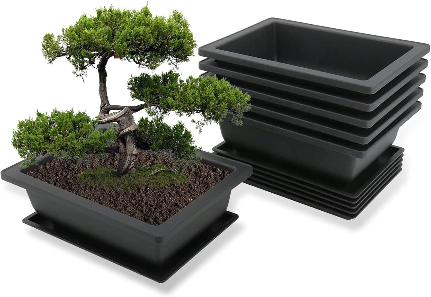 Lot de 6 Pot Bonsai Rectangulaire, 23x17x8cm, Pots d'entraînement bonsaï en Plastique avec Trous de Drainage et soucoupes, Pot de Fleur et de Plante décoratif pour Jardin, Cour, Chambre