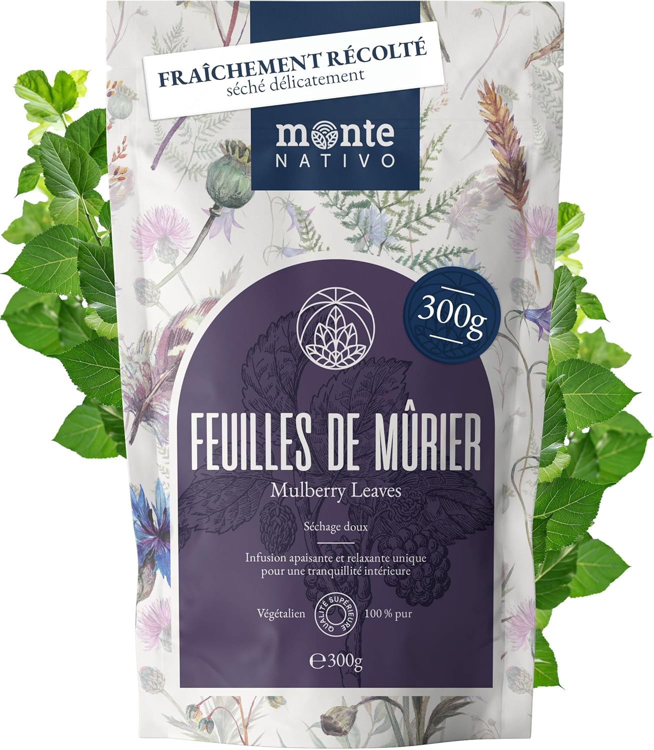 Tisane de feuilles de mûrier Monte Nativo (300g) - Infusion vrac - 100% pur et naturel, sans additifs - Herbes à l'arôme intense pour la préparation d'une délicieuse tasse de tisane