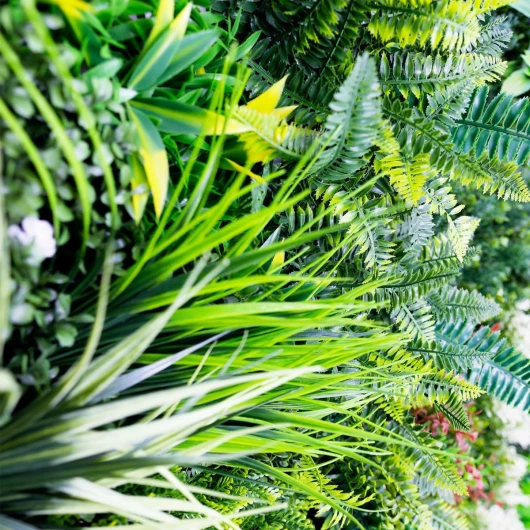 818j8akNzSL._AC_SL1200_