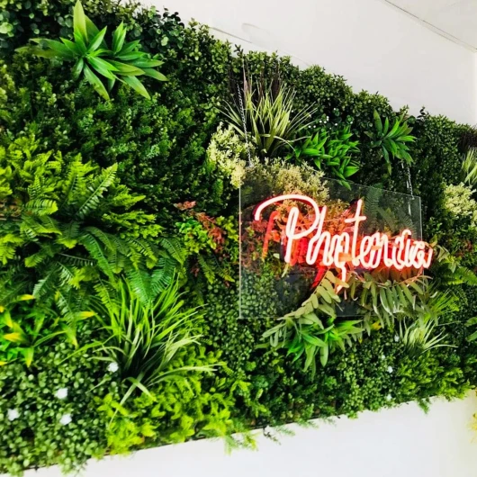 81TMEd4a95L._AC_SL1200_