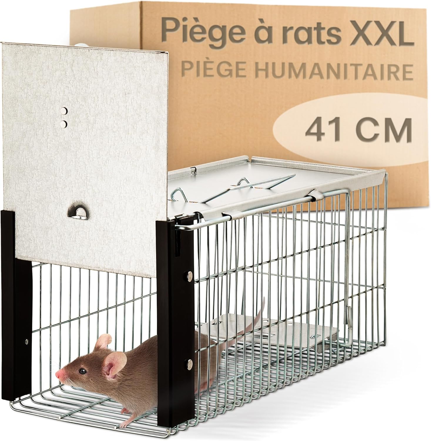 Piège à Rats Vivante 41 cm - XXL Piège Loir - Respectueux des Animaux & Réutilisable - Prêt À l'emploi - Intérieure et Extérieure