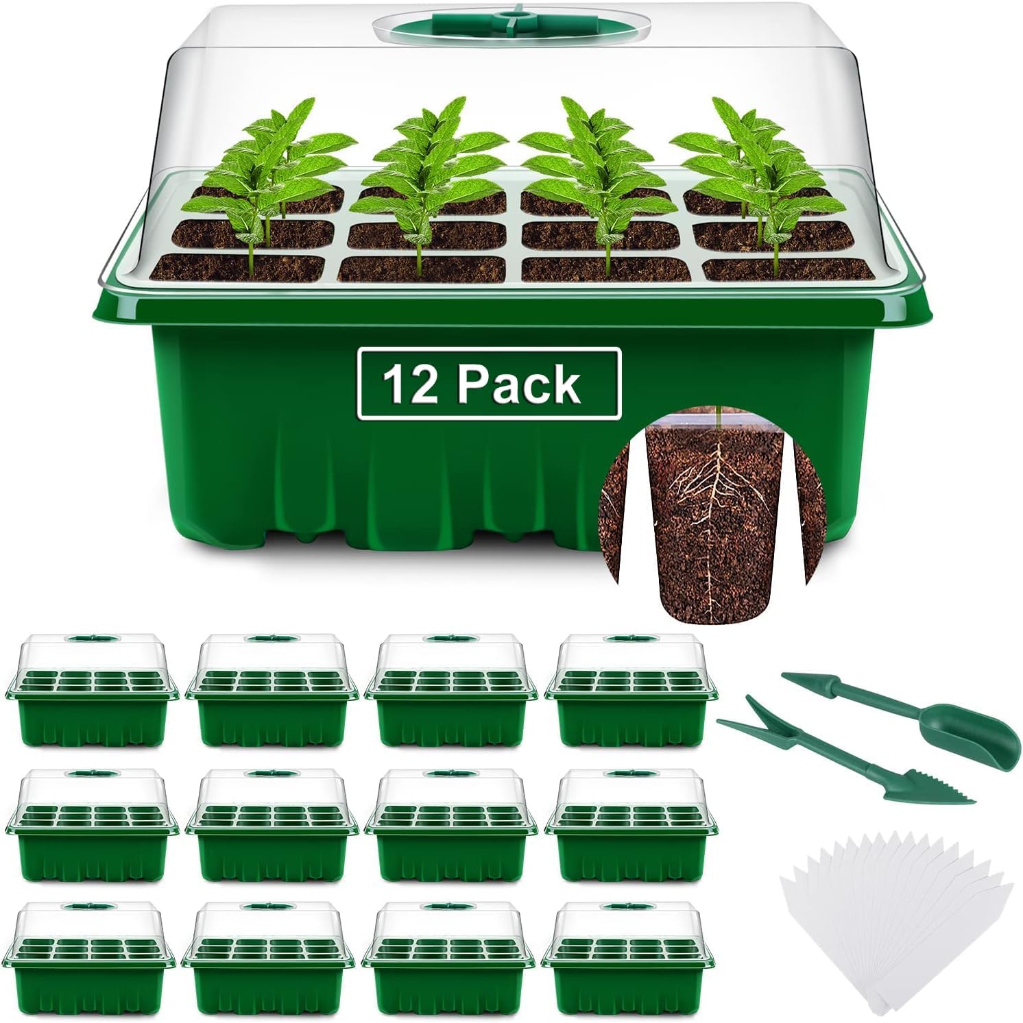 YAUNGEL Mini Serre pour Plantes, 12 Pièces 144 Cellules Intérieure Plateau Semis Bac à semis Pépinière Boîte de Culture avec Couvercle et Ventilation Durables, Vert