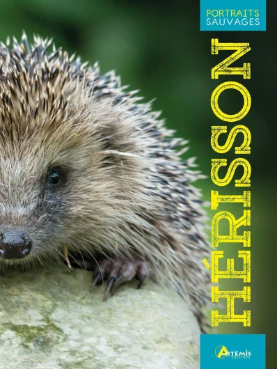 Hérisson