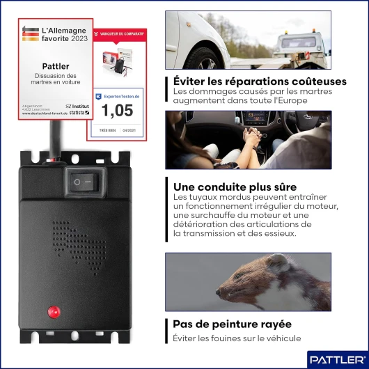 91CUyMEp7vL._AC_SL1500_