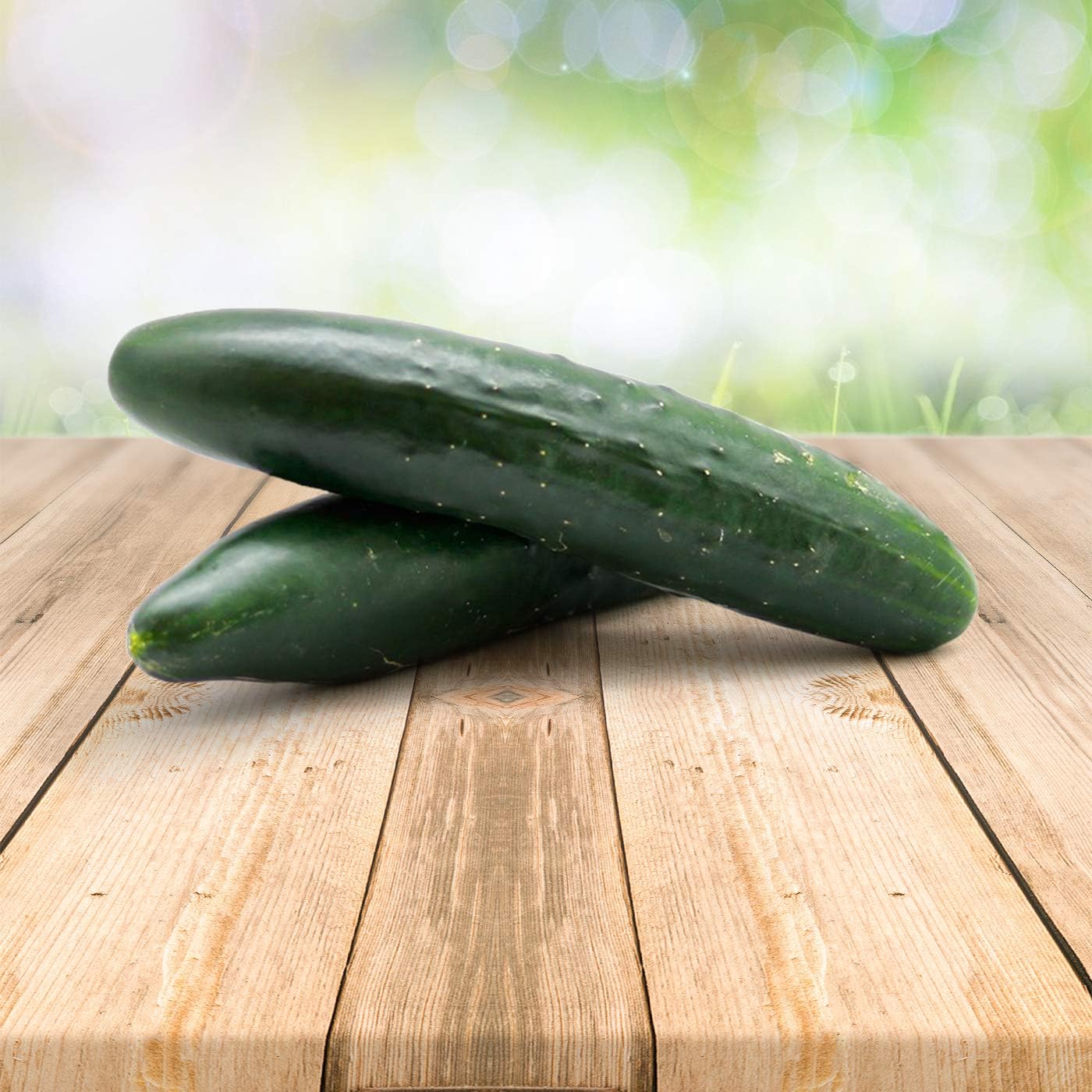 Concombre 25 x graines - Du Portugal 100% Naturel Sans Aide à La Culture Chimique Ni Génie Génétique, Juste de la Nature Pure