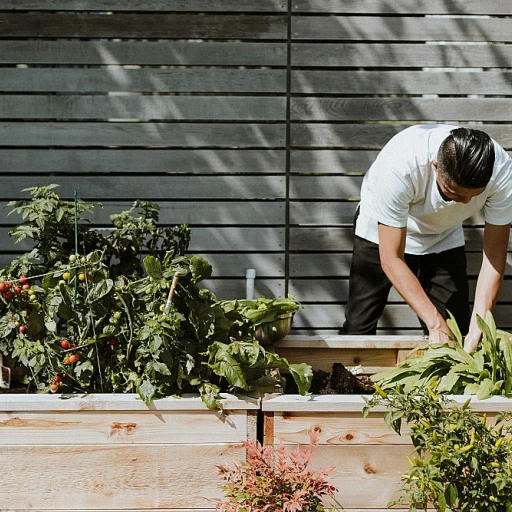 Comment concevoir un potager rectangulaire efficace
