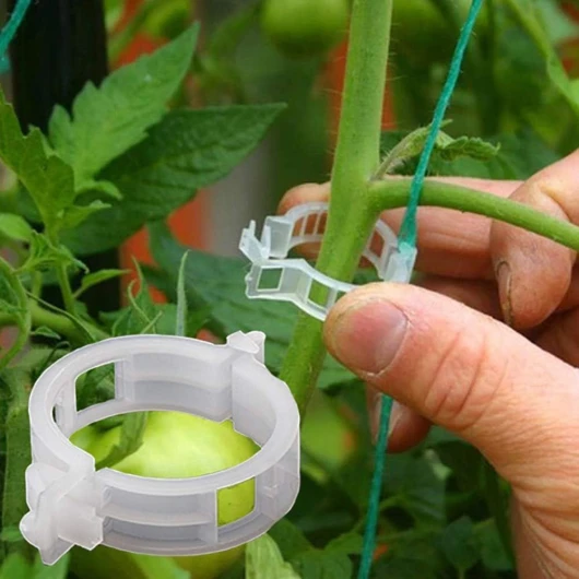 Winmany 100PCS Plant Support Clips de Jardin Tomate Clips Support/Connecte Plantes/Ficelle/Vignes Treillis/Cages Plante Vigne Légumes Fixation Clip Outils de greffe Faire Pousser la Plante Debout