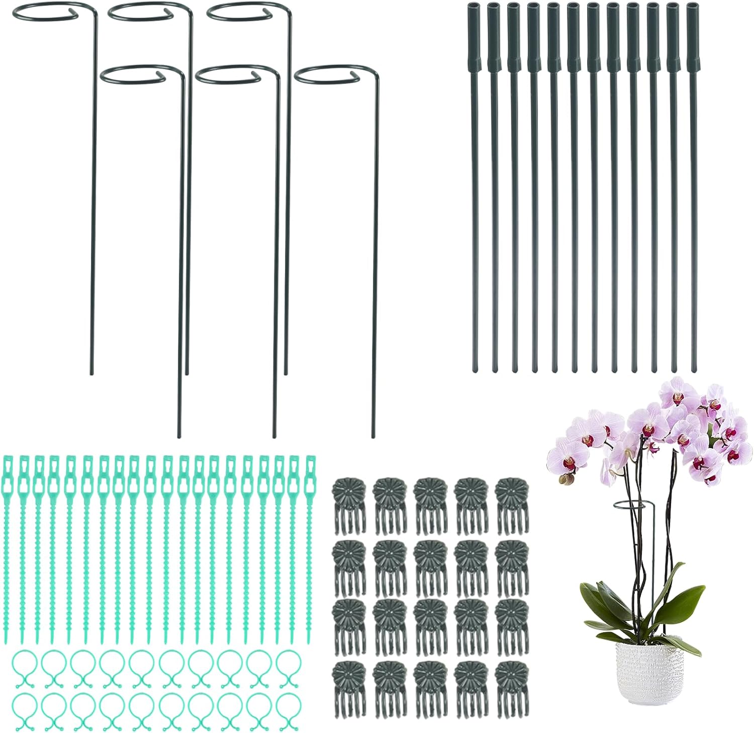 FALSKT 6 Pièces 90 CM Support Tuteurs pour Fleurs, Tuteur Orchidee en Métal, Tuteur Tomate Anneau de Support de Plante Splicable, pour Roses, Légumes, Tomates, Piments, Vert