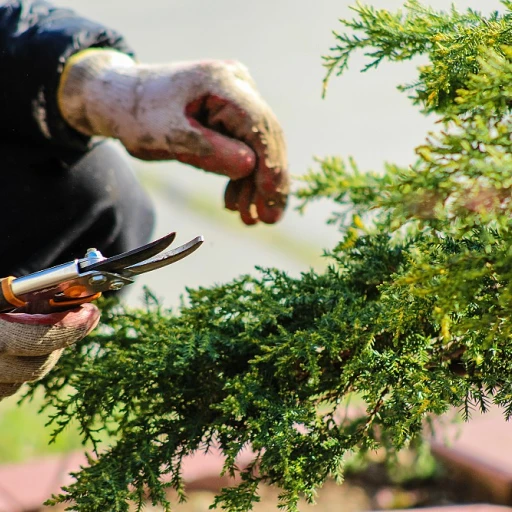 Les avantages des bacs potagers surélevés pour votre jardin