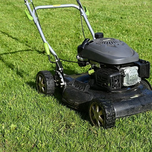 Transformez votre jardin avec un gazon fleuri