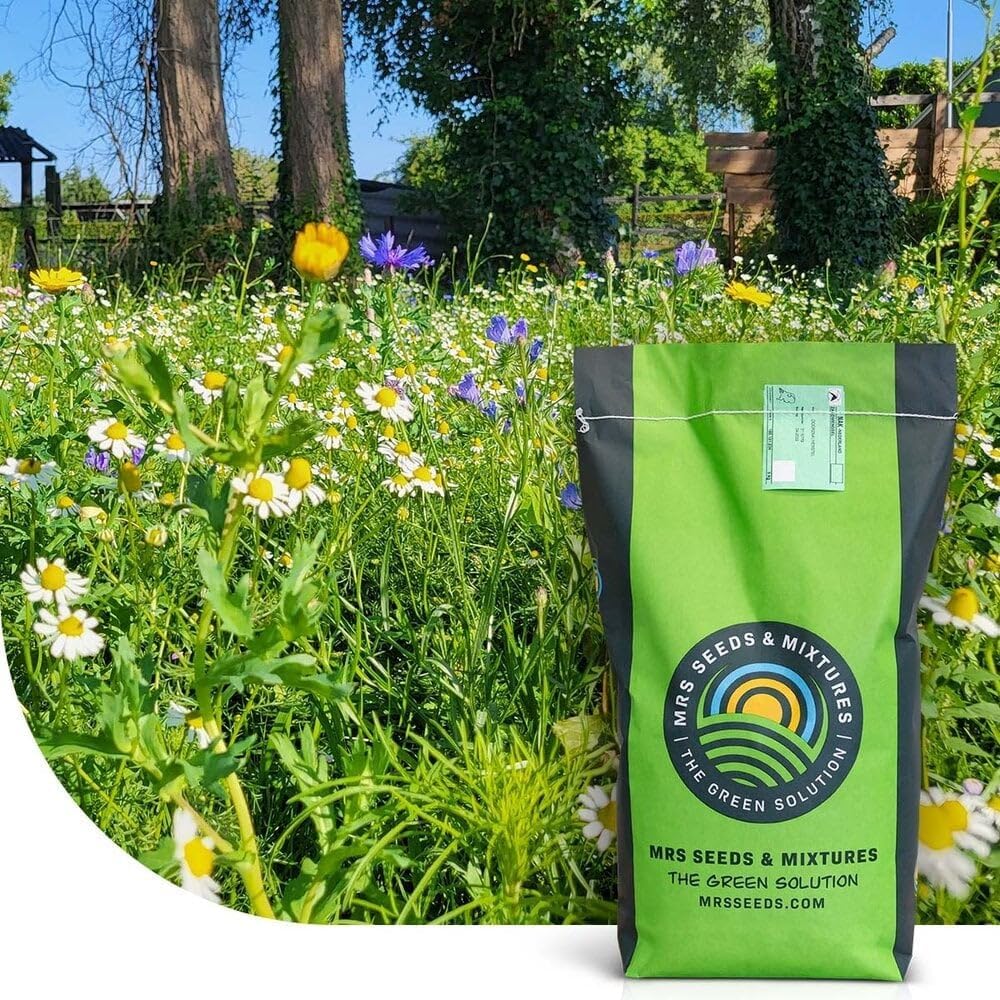Flower Field: Semences de Gazon avec Fleurs - 1 kg - 200 m² - Une pelouse diversifiée avec 29 fleurs de sauvages - composé de 80% d'herbe et de 20% de fleurs - Attractif pour les pollinisateurs