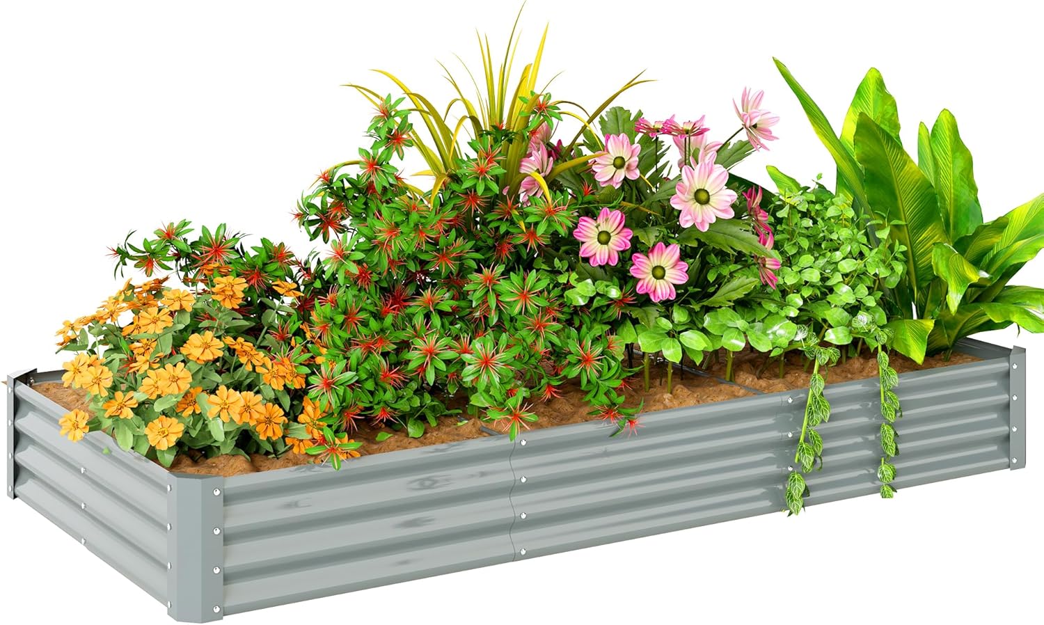 Carré Potager rectangulaire, lit de Jardin surélevé en Acier galvanisé, Fond Ouvert, jardinière avec Bord Anti-Coupure Barres de Soutien, 240 x 120 x 30 cm, Gris argenté