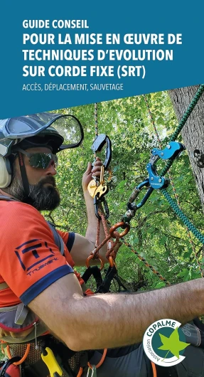 Guide conseil pour la mise en œuvre de techniques d’évolution sur corde fixe (SRT)