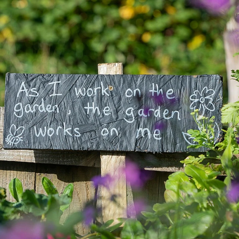 Embellissez votre jardin avec des pierres décoratives