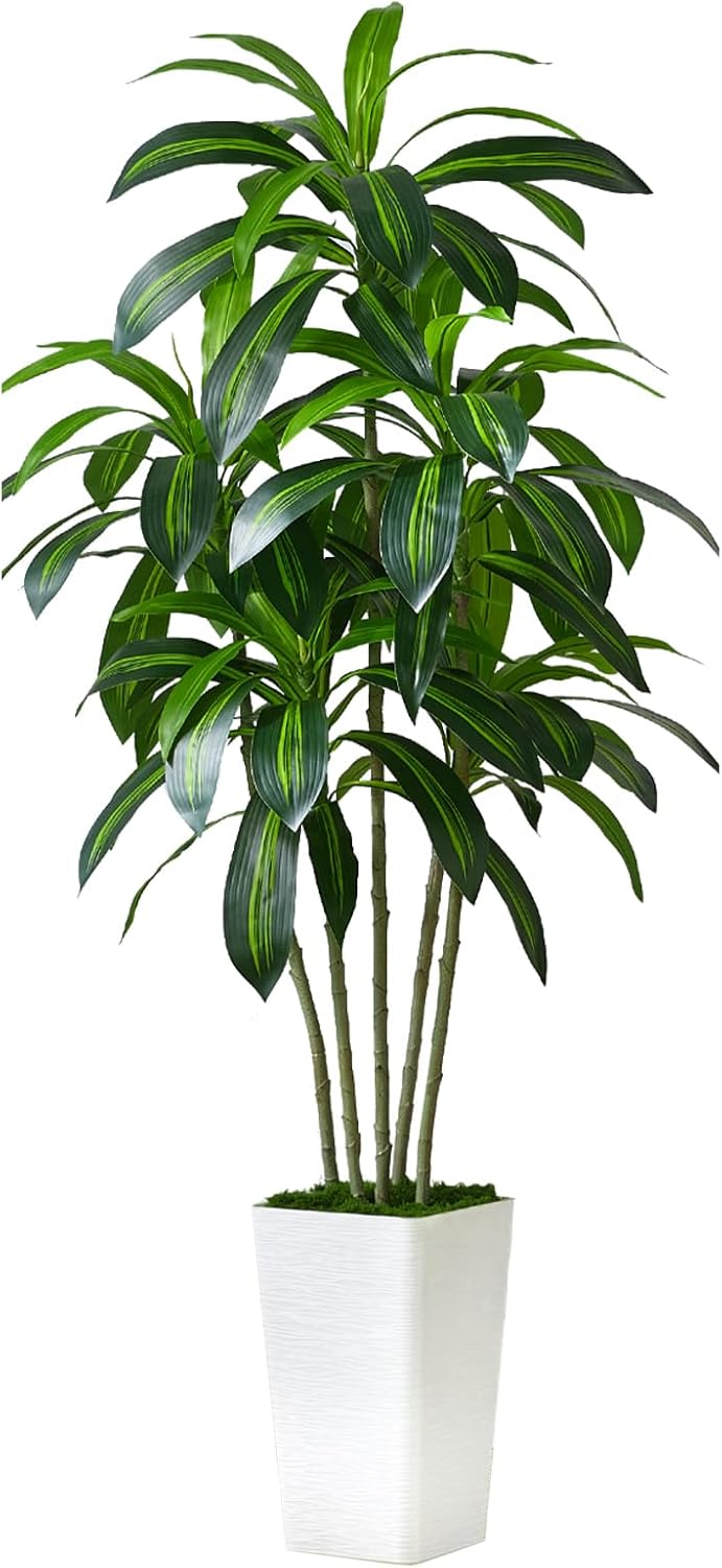 Plante Artificielle Dracaena Intérieur 180cm Arbre Artificiel Dracaena Faux Arbre en Soie avec Jardinière Blanche Faux Tropical Yucca Floor Plant pour Bureau à Domicile Décorati (1, Blanc, 180cm) 180cm Blanc 1