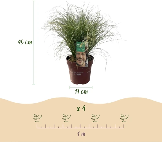 71zNAsggmHL._AC_SL1500_