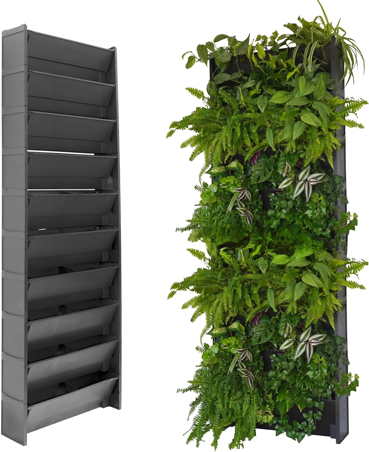 Mur Végétal, Pots pour Murs Végétaux Naturels Intérieur ou Extérieur, Irrigation Semi-Automatique (10 Pots)