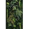 Mur Végétal stabilisé Intérieur JUNGLE Personnalisable - Kit DIY Facile avec Plantes Stabilisées Naturelles Sans Entretien - Décoration Murale Durable et Unique pour Salon, Bureau - Fabriqué en France