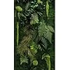 Mur Végétal stabilisé Intérieur JUNGLE Personnalisable - Kit DIY Facile avec Plantes Stabilisées Naturelles Sans Entretien - Décoration Murale Durable et Unique pour Salon, Bureau - Fabriqué en France