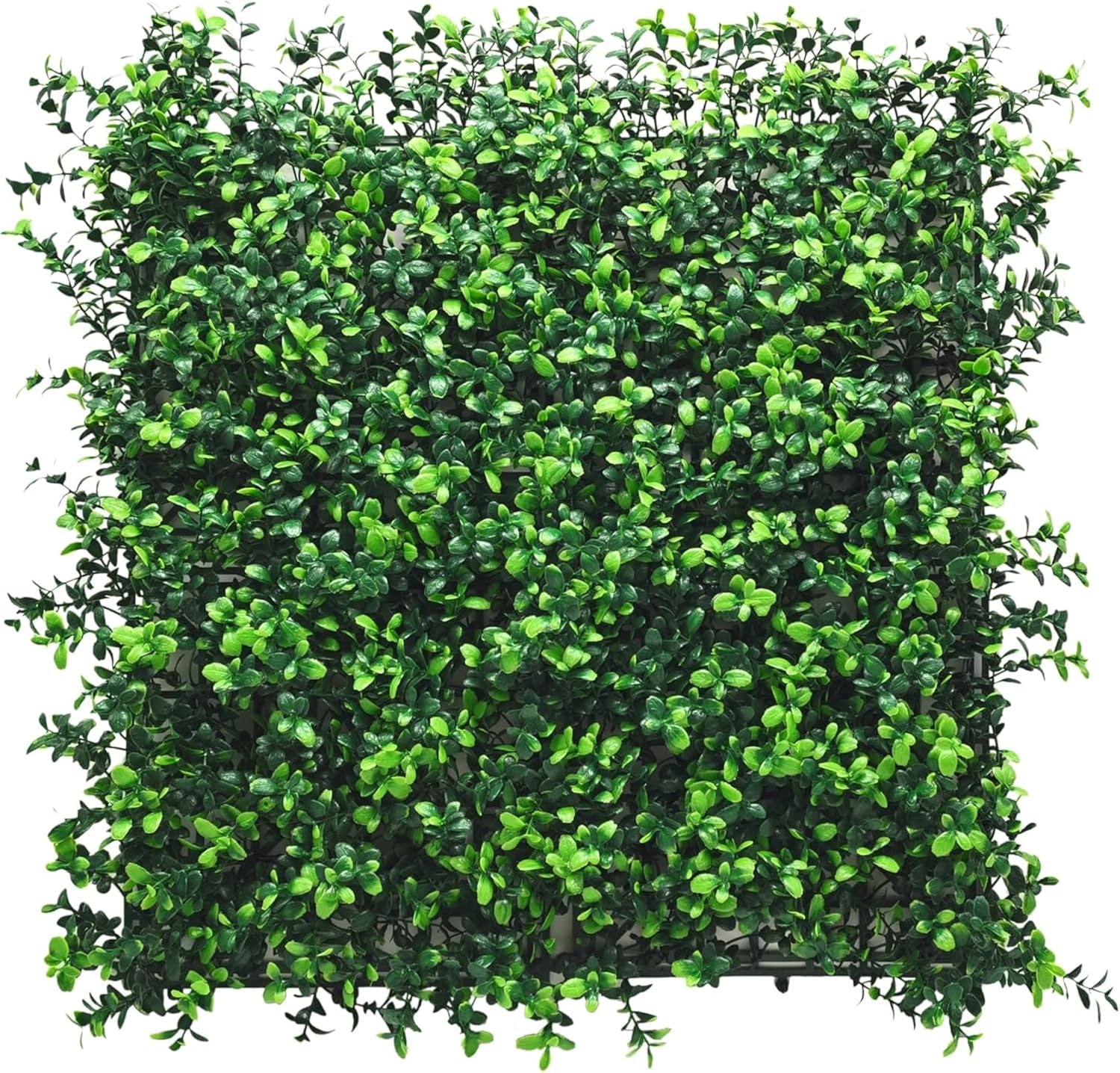 Mur végétal Artificiel - Plantes artificielles à Fixer au Mur - Décoration Murale élégante pour Une Ambiance Naturelle - Résistante aux intempéries (Boxwood, 50 x 50 cm) Boxwood 50 x 50 cm