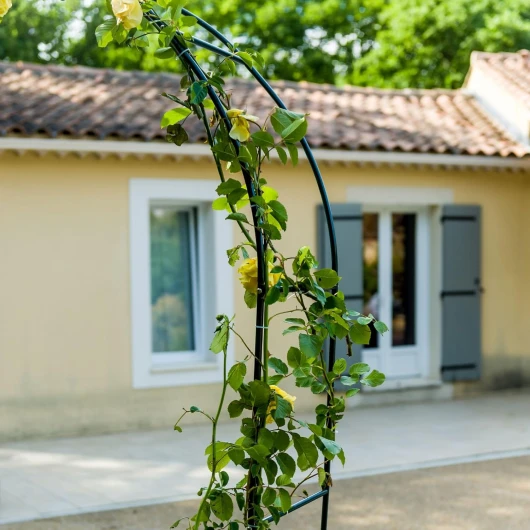 8152BkVCOkL._AC_SL1500_