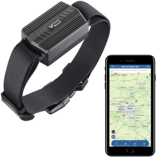 Collier GPS TK935 pour Chien - Traceur sans Limitation de Distance Sans Abonnement - Batterie Rechargeable 3000mAh - Suivi en Temps Réel pour Chiens, Vaches, Moutons