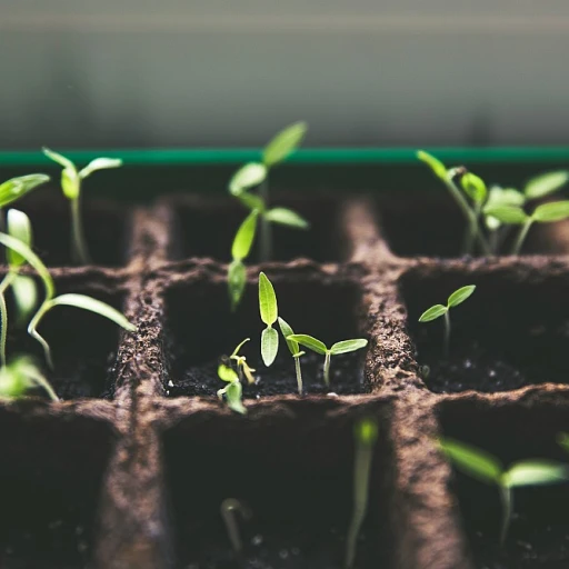 Optimisez votre jardin avec une cuve d'eau de pluie enterrée