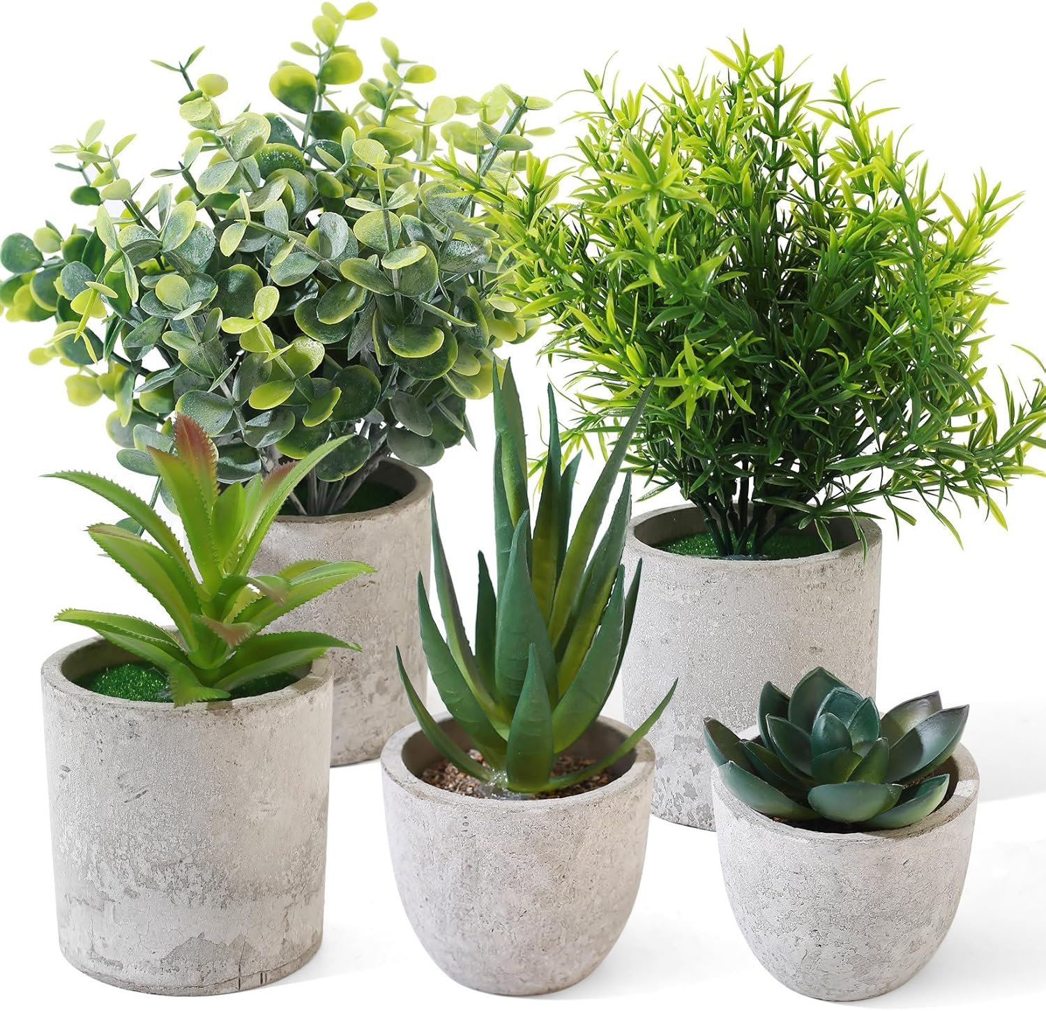 SZZHIYONG Lot de 5 Mini Plantes artificielles comme de Vraies Petites Plantes artificielles en Eucalyptus Langue de Serpent pour décoration Salon, Chambre à Coucher, Salle de Bain, Cuisine, Bureau