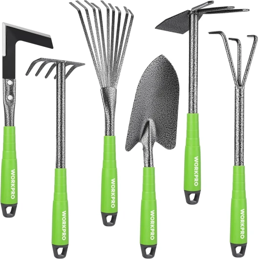 Outils de Jardinage 6 Pièces, Kit d'outils de Jardin en Acier Inoxydable avec Houe 2-en-1, Treulle, Râteaux, Couteau Désherbeur, Finition Martelée, pour Taille et Entretien, Cadeaux de Jardin