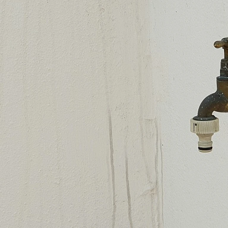 Les secrets des pierres pour enrochement dans votre jardin