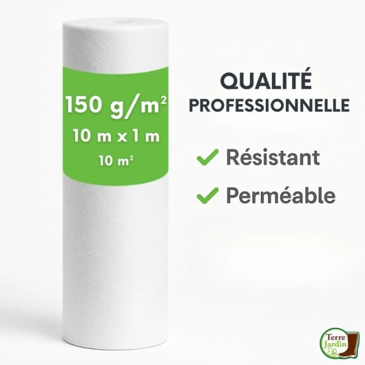 51Wme6omkJL._AC_SL1000_