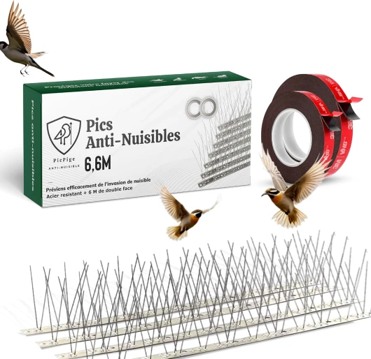 Picpige Pic Anti Pigeon - 6.6 Mètres - Acier Inoxydable - 6M de Double Face Inclus -20 unités - Pique Anti Oiseaux -Anti nuisible pour Balcon,fenêtre,Toit- Antipigeon- Pic Anti Chat (6,6 Mètres)