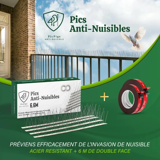 81fWsJPrHOL._AC_SL1500_