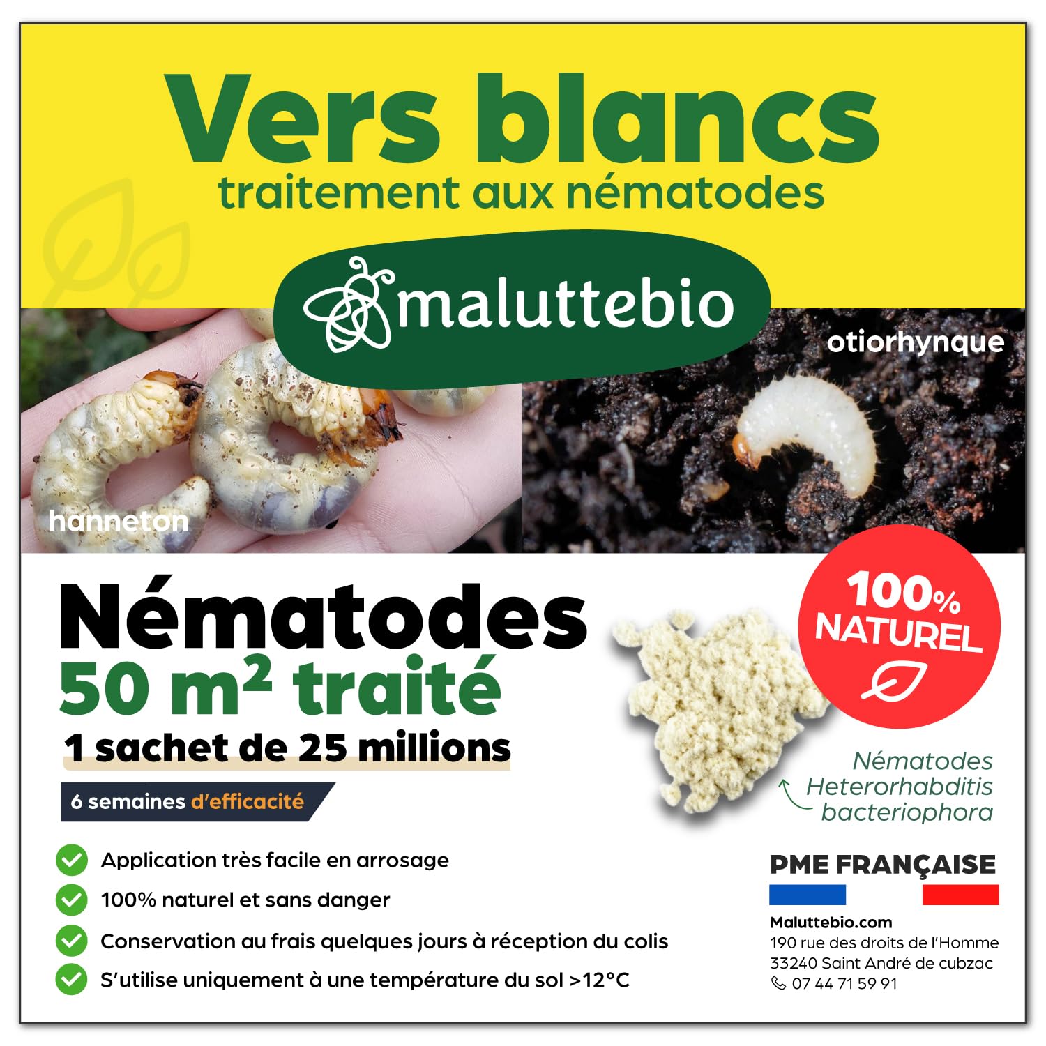 Nématodes HB contre les Vers Blancs (25M) – Produit naturel et 100% efficace pour éliminer les vers blancs et les hannetons du jardin, pelouses et plantes – Sans produit chimique et sans danger Pour traiter 50 m²