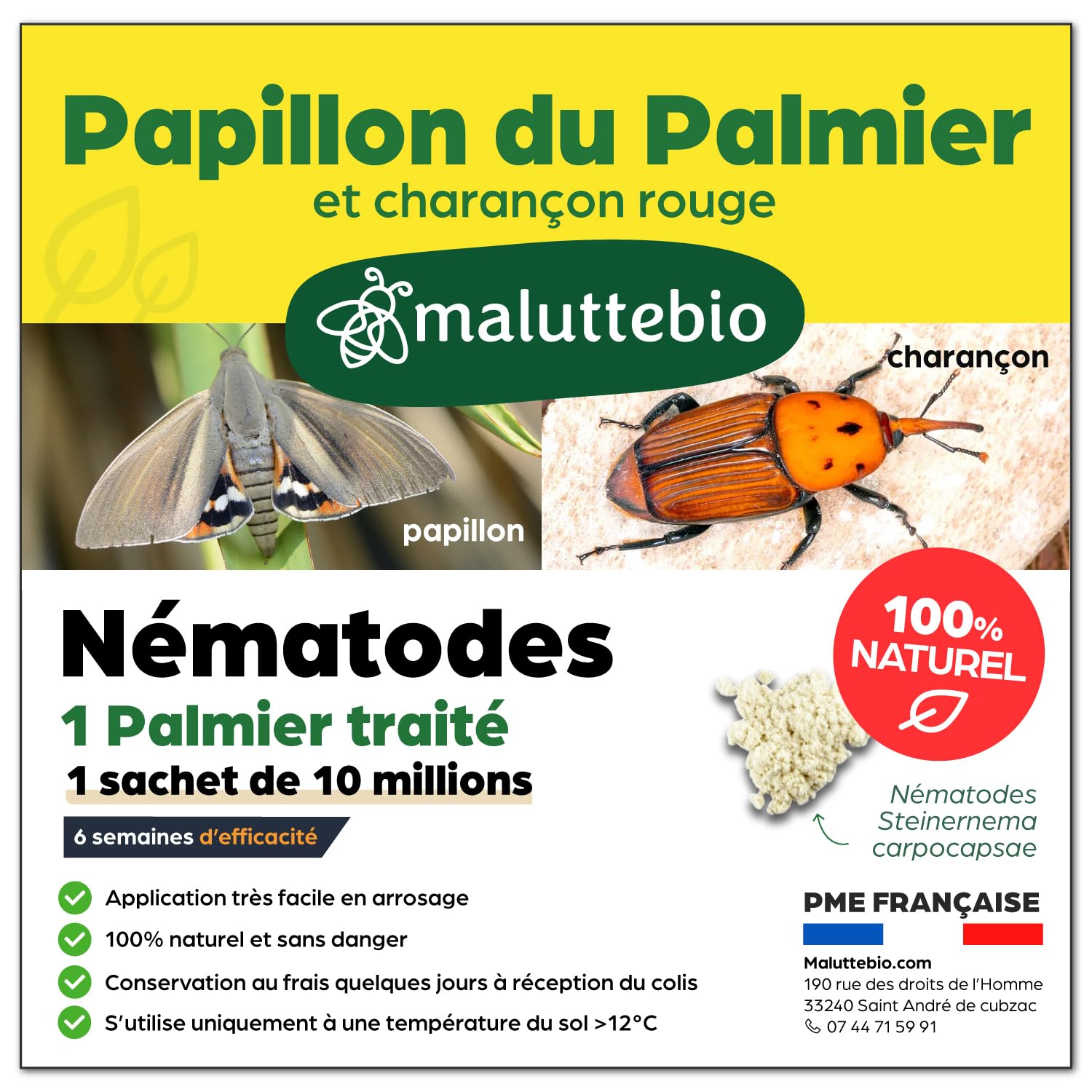 Nématodes contre le Papillon du palmier et le Charançon Rouge - Nematodes palmier - Pour traiter 1 palmier - 10M Pour traiter 1 palmier (10M)
